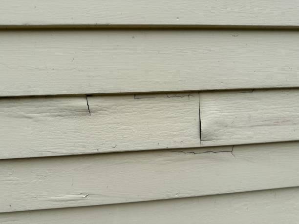 Best Construction Debris Removal  in Felton, CA